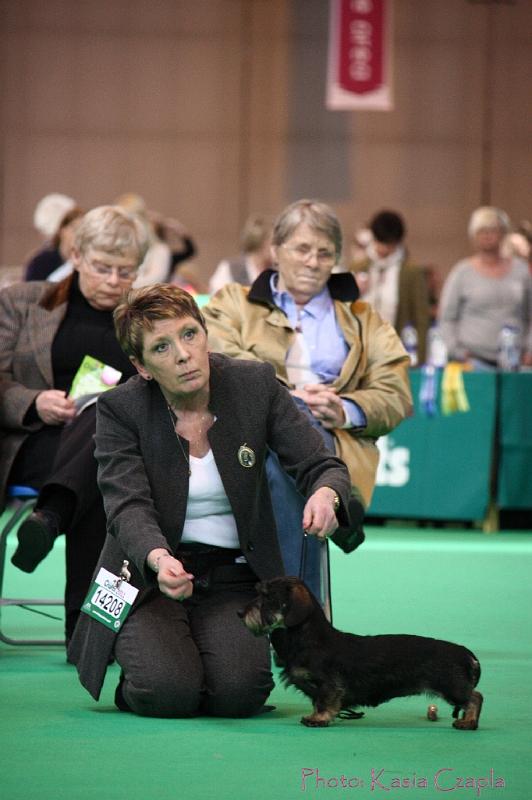 Crufts2011_2 974.jpg